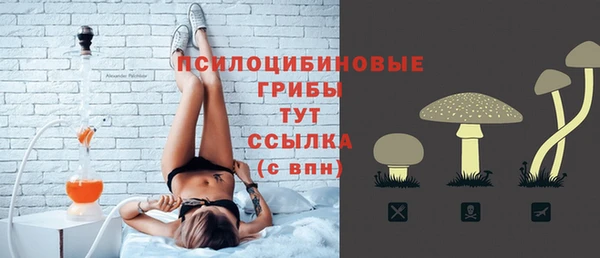 гидра Армянск