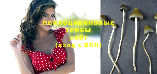 метадон Аркадак